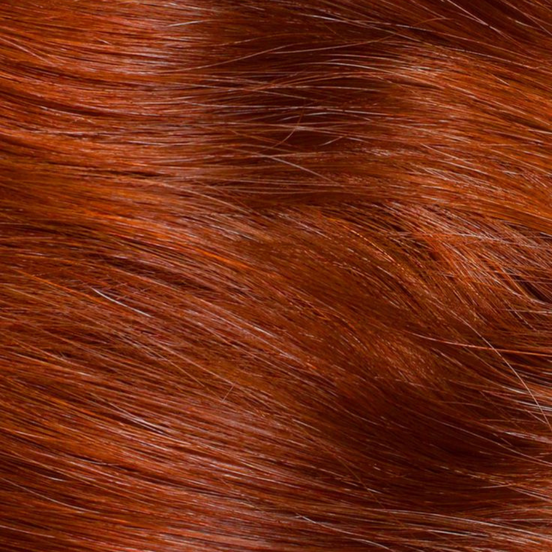 GINGER