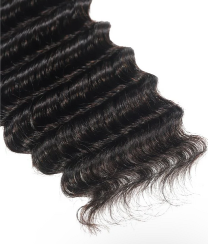 TISSAGE BURMESE ITALIAN CURL